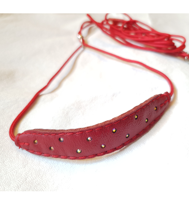 Small dog show lead - comfort collar and bling